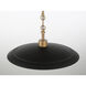 York 1 Light 16 inch Natural Brass Pendant Ceiling Light in Dark Matte Black