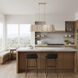 Peep Show 6 Light 42 inch Sunwashed Silver and Brushed Sienna Linear Pendant Ceiling Light