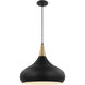 Phoenix 1 Light 18 inch Matte Black/Burnished Brass Pendant Ceiling Light