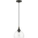 Glendon 1 Light 8.25 inch Bronze with Antique Brass Finish Accents Glass Pendant Ceiling Light in Bronze with Antique Brass Accent