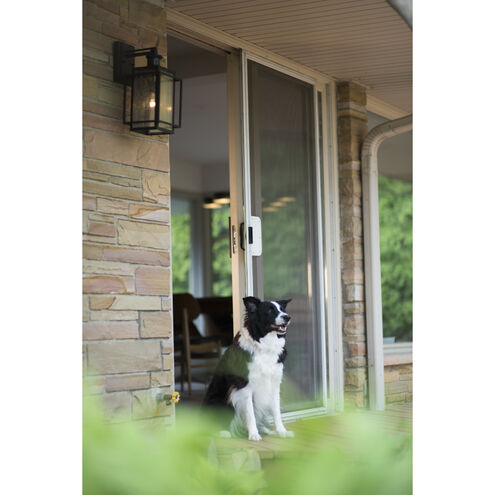 Hyde Park Espresso Bronze Outdoor Motion Sensor, Dualux