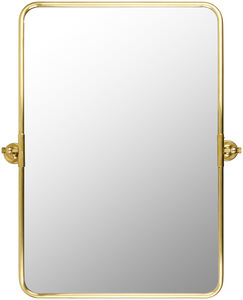 Burnish 36.25 X 28.75 inch Gold Mirror, Rectangle
