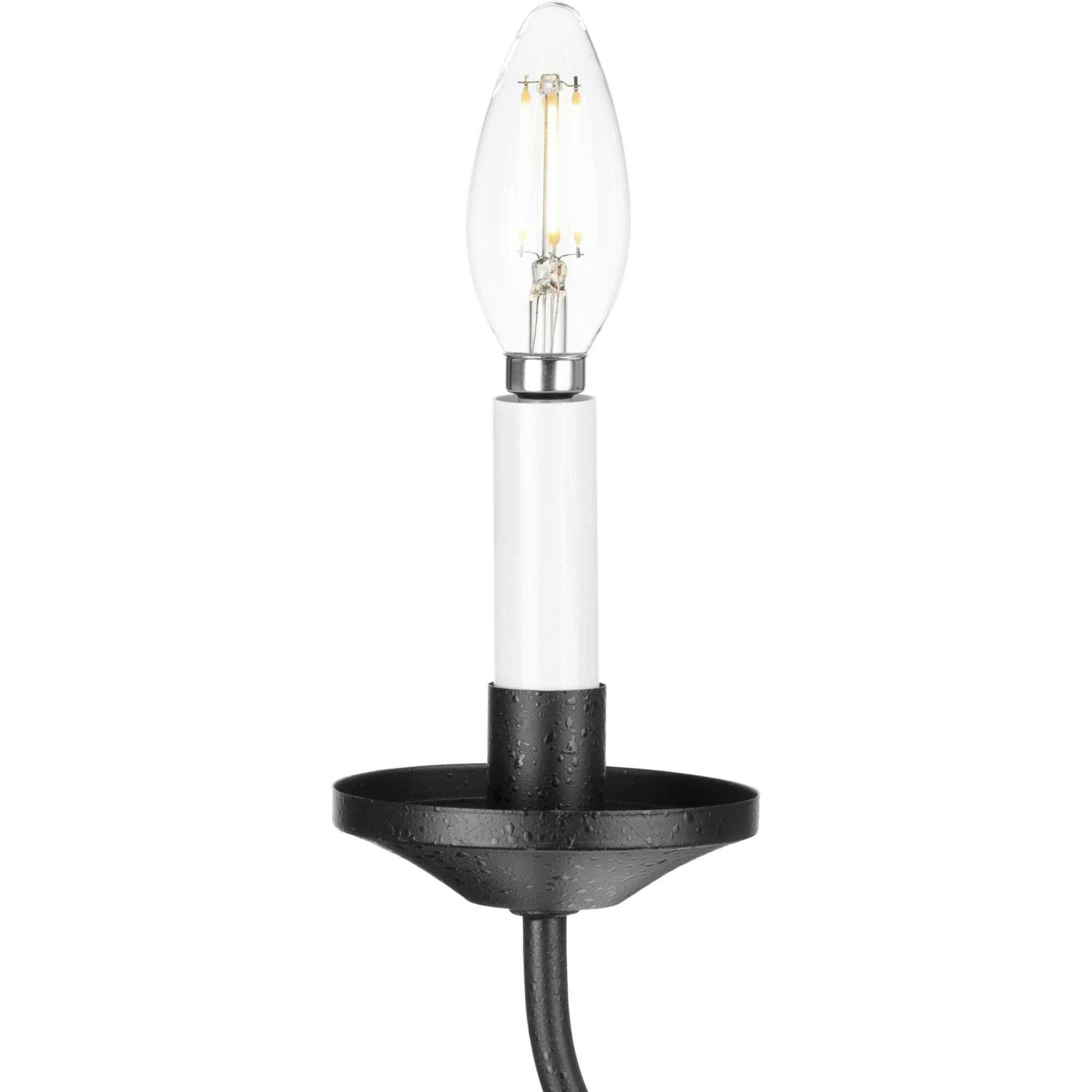 Five Light 5 Light 21 inch Textured Black Chandelier Ceiling Light