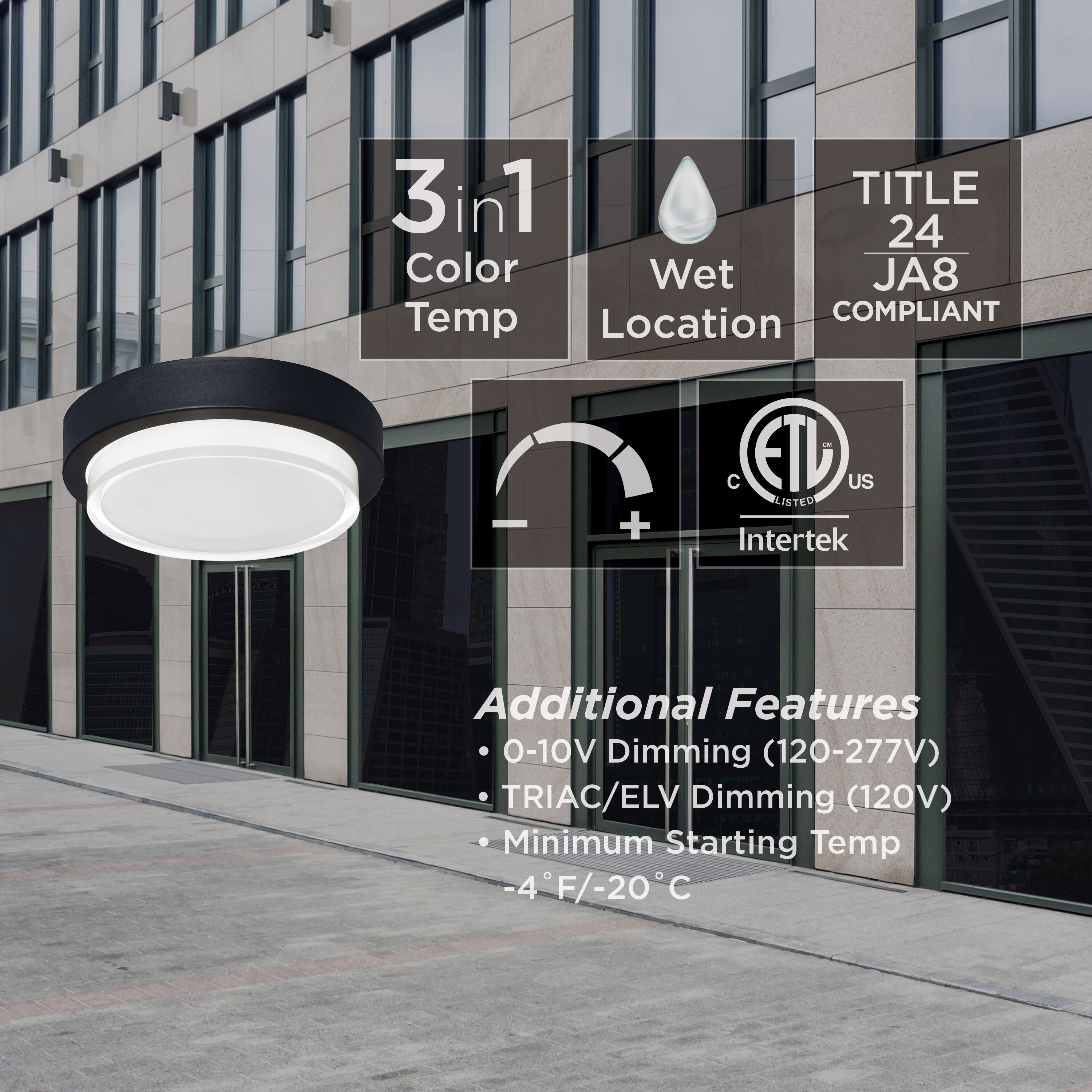 Elm LED 9 inch Black Outdoor Flush Mount