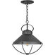 Crew 1 Light 15 inch Black Outdoor Hanging Lantern