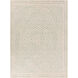 Atlas 63 X 39 inch Seafoam, Beige Rug