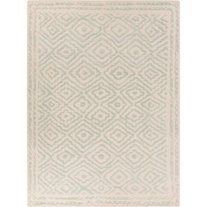 Atlas 63 X 39 inch Seafoam, Beige Rug