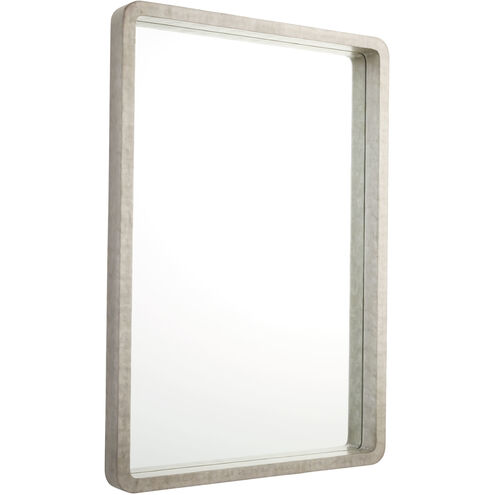 Triton 54 X 38 inch Taupe Mirror