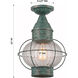 Ellington 1 Light 9 inch Verde Green Outdoor Semi Flush in Optic Glass, Brass Traditions by InnovationsLighting