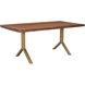 Trix 70 X 36 inch Brown Dining Table
