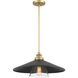 Segan 1 Light 20 inch Coal & Soft Brass (Painted) Pendant Ceiling Light, Outdoor