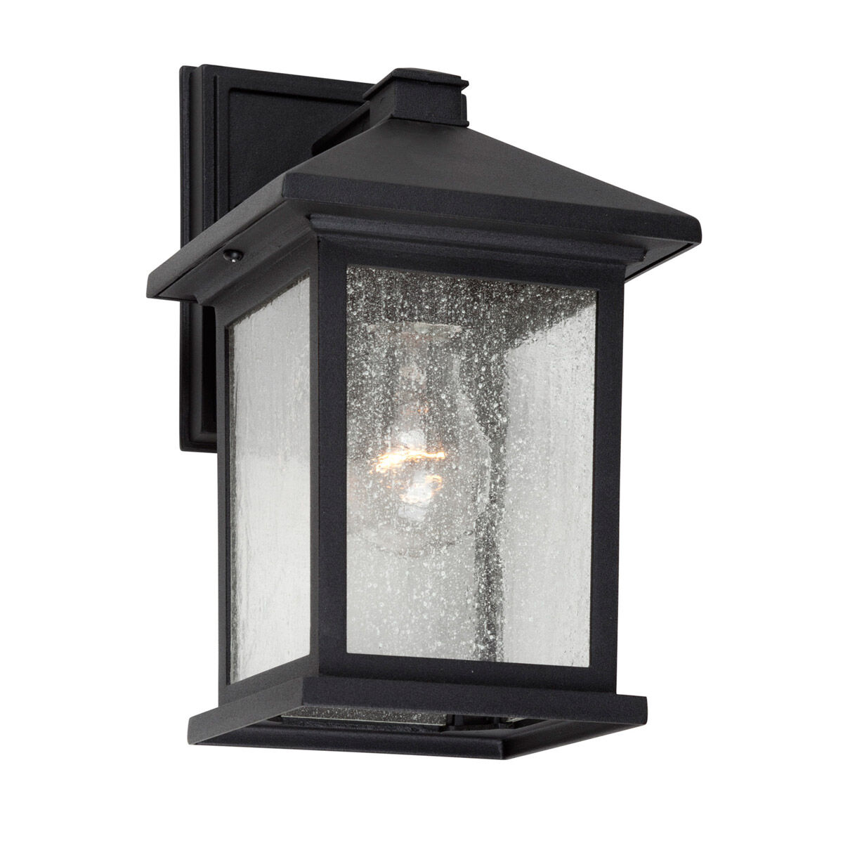 Signature 1 Light 11 inch Black Outdoor Wall Light