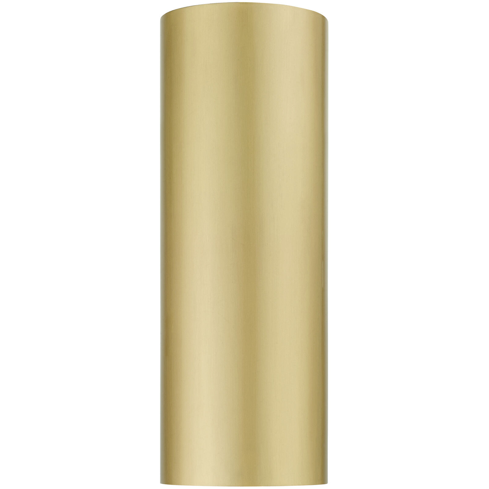 Bond 1 Light 14 inch Satin Gold Outdoor / Indoor  Sconce, Large