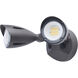 Brentwood LED 4.29 inch Bronze Outdoor Security Light