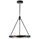 Duo LED 23.63 inch Classic Black and Gold Shimmer Pendant Ceiling Light