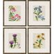 Florals Collection Multi Framed Art