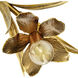 Lowcountry 6 Light Brass and Gold Brush Chandelier Ceiling Light