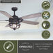 Barnes 21.26 inch Matte Black and Rustic Oak with Driftwood-Black Walnut Blades Ceiling Fan