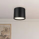 Uma 12 inch Black Semi-Flush Mount Ceiling Light