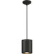 Pilson XL 6 inch Matte Black Pendant Ceiling Light