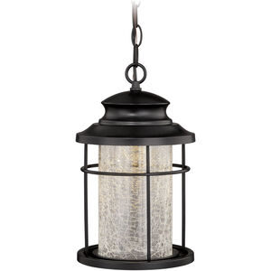 Melbourne LED 8 inch Oil Rubbed Bronze Outdoor Pendant