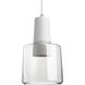 Samson Pendant Ceiling Light in Clear, Clear Glass Shade