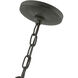 Wentworth 2 Light 9 inch Charcoal Outdoor Pendant Lantern, Medium