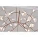 Canada LED 29.5 inch Matte Copper Chandelier Ceiling Light