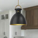 Alora Mood Waldo Pendant Ceiling Light in Aged Gold and Matte Black