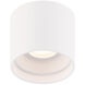 Downtown 1 Light 5 inch White Flush Mount Ceiling Light in 3000K, dweLED