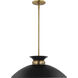Perkins 1 Light 20 inch Matte Black/Burnished Brass Pendant Ceiling Light