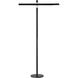 Portables 54.75 inch 5.00 watt Anodized Brushed Coal Adjustable Table Lamp Portable Light
