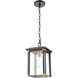 Vincentown 1 Light 8 inch Matte Black with Brushed Brass Outdoor Pendant
