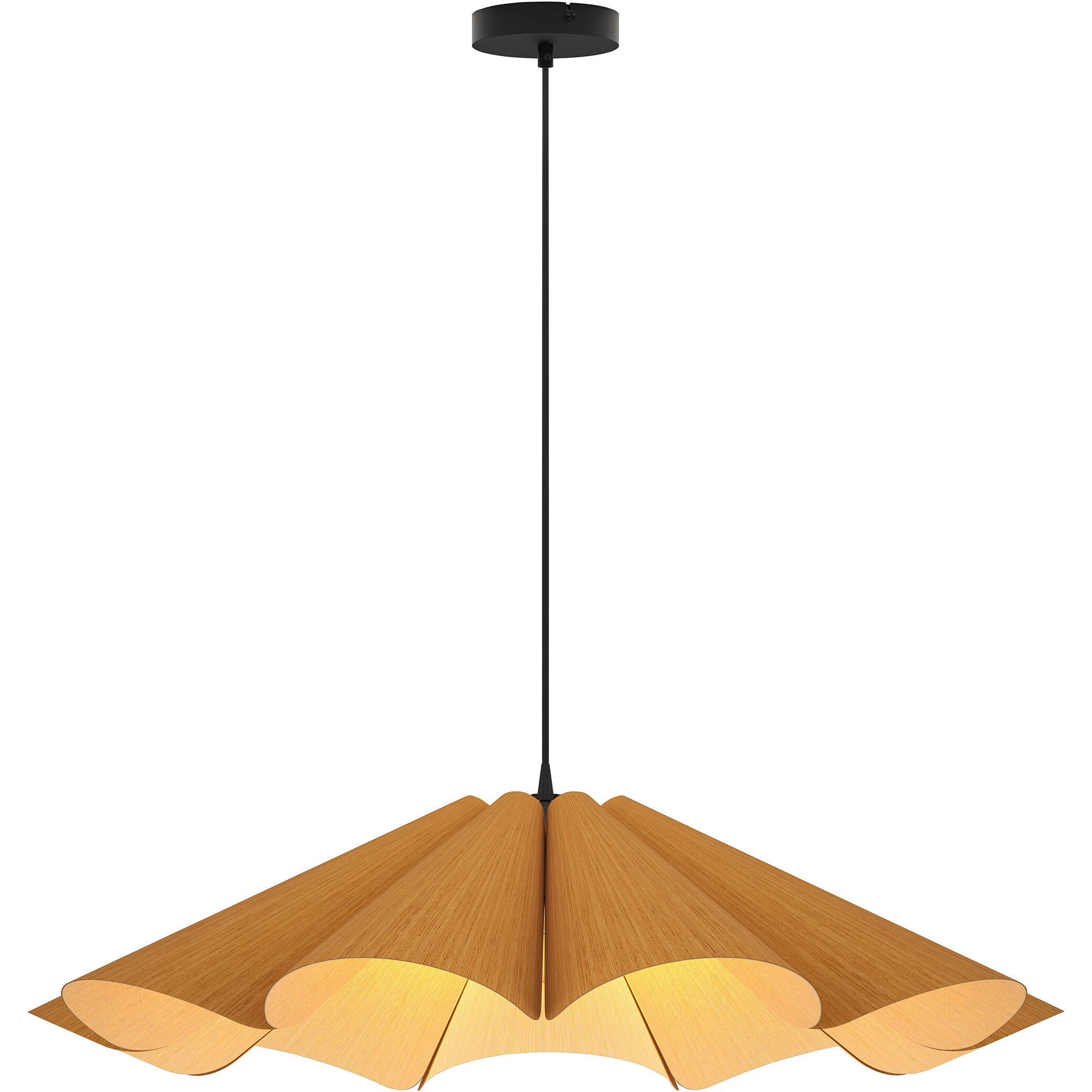Delfina 1 Light 23.6 inch Black Pendant Ceiling Light in Petribi/Ash, 24 in, WEP Collection