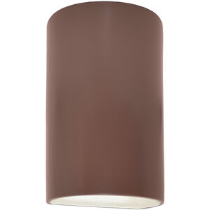 Ambiance 1 Light 12.5 inch Canyon Clay Outdoor Wall Sconce in Incandescent