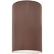 Ambiance 1 Light 12.5 inch Canyon Clay Outdoor Wall Sconce in Incandescent