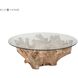 Yava 32 inch Natural with Clear Coffee Table