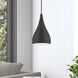 Amador 1 Light 6.25 inch Textured Black with Antique Brass Accents Mini Pendant Ceiling Light