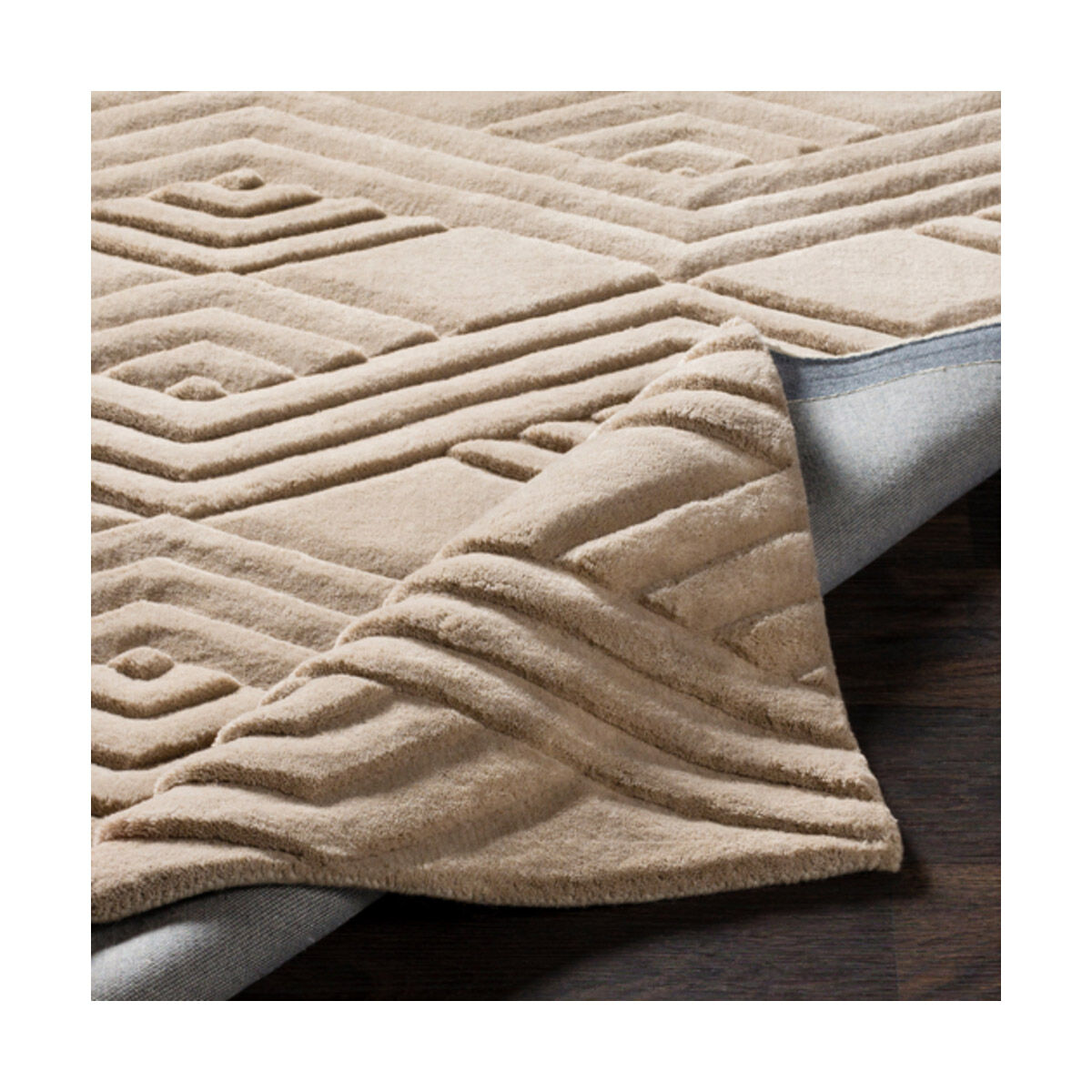 Etching 36 X 24 inch Taupe Rugs, Rectangle