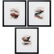 Abstract Collection Brown Framed Art
