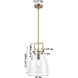 Newton Bell 1 Light 10 inch Satin Nickel Pendant Ceiling Light