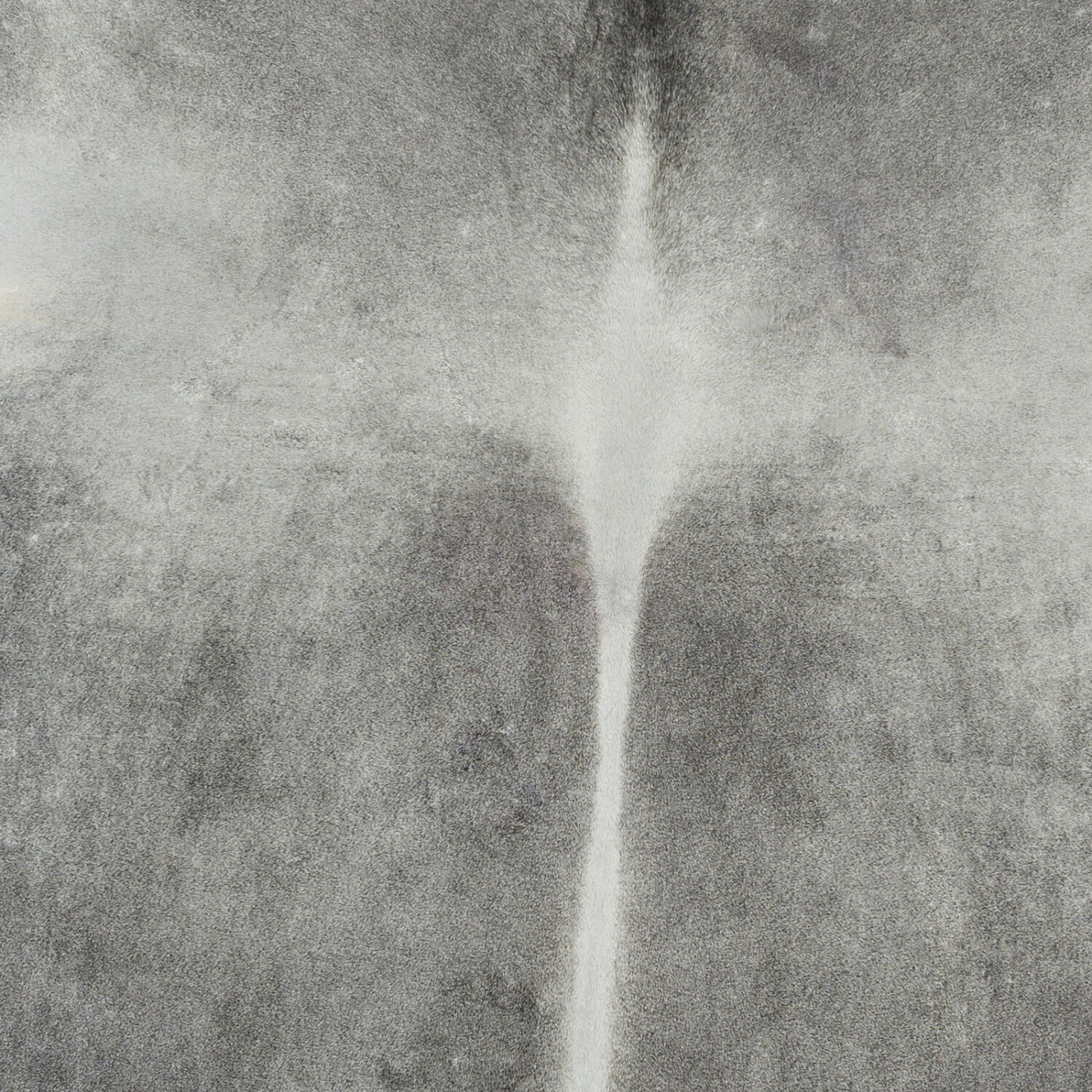 Stanley 84 X 60 inch Black/Cream Rugs, Rectangle