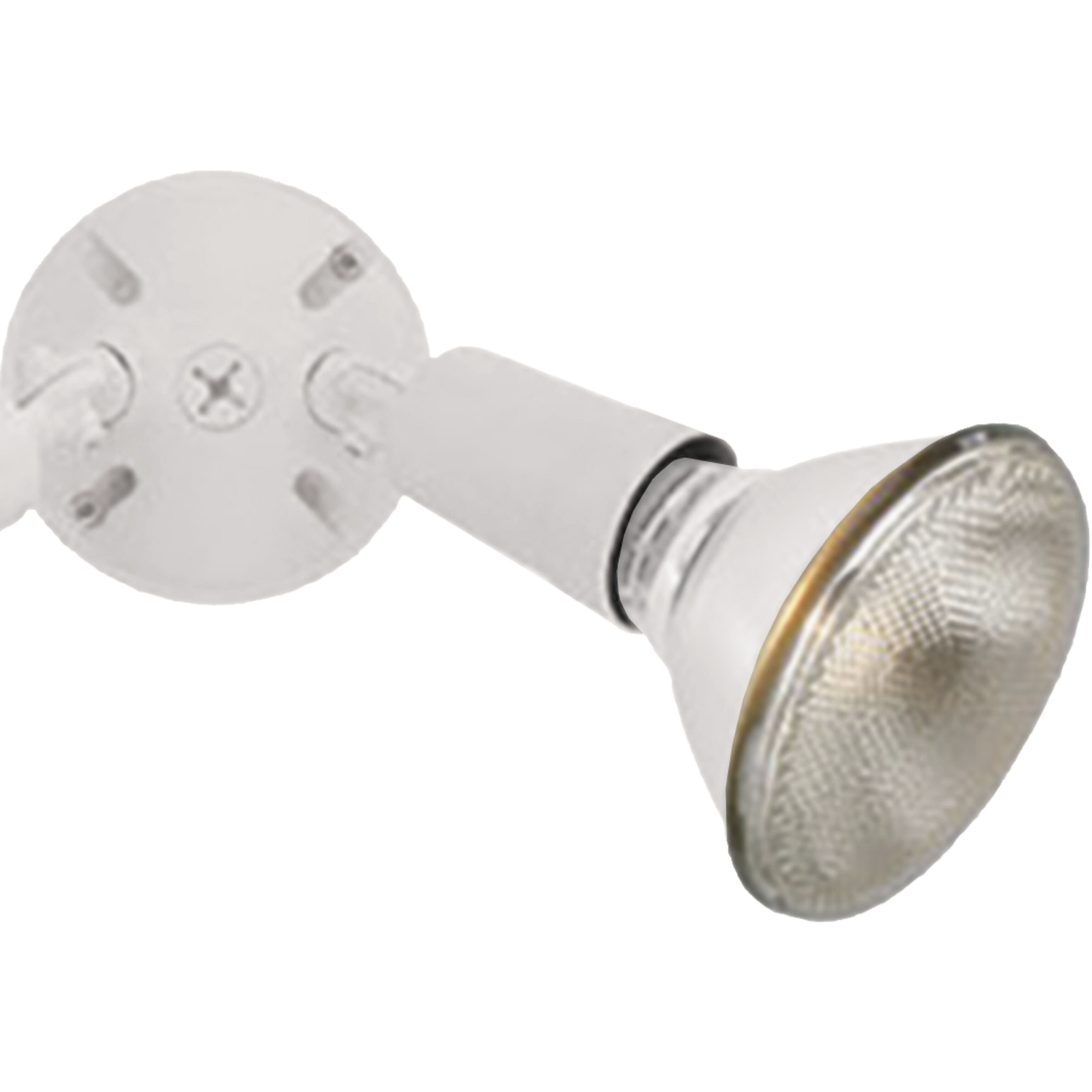 Daley 2 Light 6 inch White Outdoor Sconce