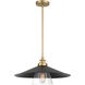 Segan 1 Light 20 inch Coal & Soft Brass (Painted) Pendant Ceiling Light, Outdoor