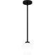 Nielson 1 Light 5.5 inch Matte Black Mini Pendant Ceiling Light, Small