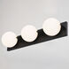 Parkview LED 24 inch Matte Black Bathroom Light Wall Light