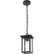 Venango 1 Light 6 inch Black Outdoor Pendant