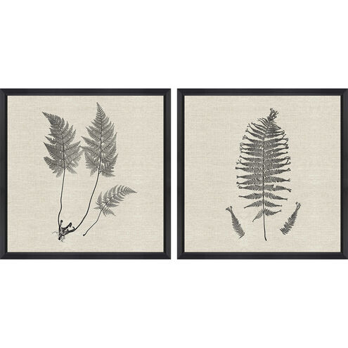 Modern Ferns Neutral and Black and Beige Framed Art