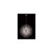 Canada 22 Light 25 inch Chrome Chandelier Ceiling Light