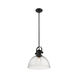 Hines 1 Light 14 inch Matte Black Pendant Ceiling Light in Seeded Glass, Large